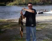 fish6