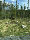 m-IMG_0354