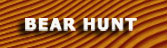 canada bear hunt, canada bear hunting guides, canada bear hunts