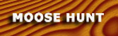 moose hunt, moose hunting guides, canada moose hunting guides, moose hunt canada